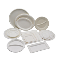 Assiette jetable en fibre de bagasse, compostable, sans PFAS, robuste, 9 pouces, 2 compartiments, écologique, résistante à l'eau et compatible micro-ondes