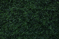 EG-M040 Falsche Mailand-Blumenwand künstliche grüne Pflanzenwand für Hochzeitshintergrunddekoration