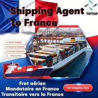 Agente de envío Francia Envío marítimo Aeropuerto Charles De Gaulle de París Servicio de envío de carga marítima Transporte especial