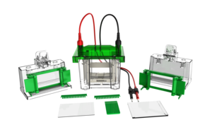 خزان كهربائي من الجل المخبري المصنوع في الصين لوضع اللطخة الغربية وتحليل البروتين في المختبرات - Product Image 4