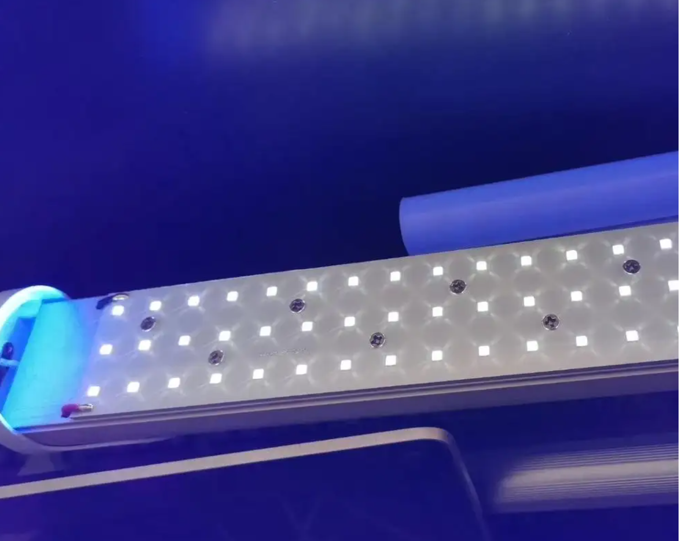 LED LAMPS