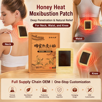 Patchs de moxibustion au miel aux herbes chinoises pour l'arthrite, la sciatique et les blessures sportives
