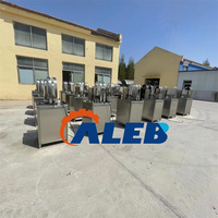 Machine automatique de décorticage et de découpe de noix de coco avec moteur en acier inoxydable 304, pour noix de coco verte