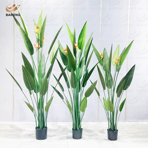 <span class=keywords><strong>Planta</strong></span> Artificial de Plástico PE Personalizada de Fábrica, <span class=keywords><strong>Planta</strong></span> en Maceta de Plátano/<span class=keywords><strong>Canna</strong></span>, Decoración Interior/Exterior, Ecológica, Perenne y Duradera - Product Image 1