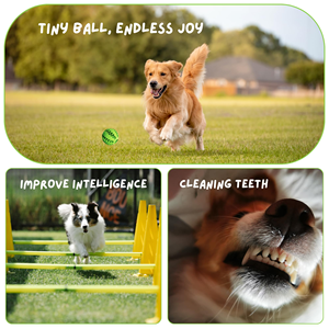 Jouets interactifs en gros pour chiens : balles de nettoyage dentaire personnalisables, jouets à mâcher pour animaux de compagnie en caoutchouc naturel non toxique, peluches écologiques - Product Image 5