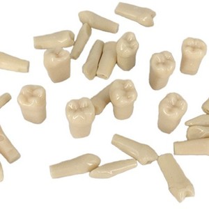 Perles de préparation dentaire Heidefee pour nettoyage manuel des dents individuelles et équipement de remplissage buccal complet, Classe I - Product Image 1