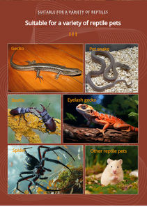 Modernes, umweltfreundliches, durchsichtiges Acryl-<span class=keywords><strong>Terrarium</strong></span> für Springspinnen – ausbruchsicher, atmungsaktiv, mit Fütterungstüren - Product Image 6