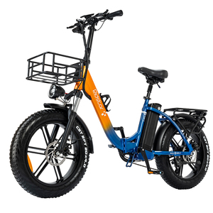 Bicicleta Plegable Ridsart MN20-20Ah 48V 1000W 20Ah con Motor Trasero de 7 Velocidades, Neumáticos Gruesos de 20 Pulgadas, Batería de Litio, Eléctrica para Adultos, Superventas - Product Image 1