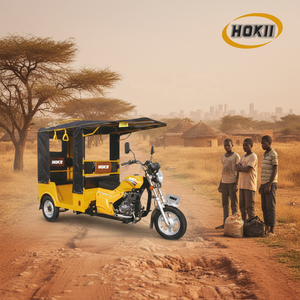 Triciclo Hokii Gasoline Passenger Cng Motor con techo <span class=keywords><strong>Trimotor</strong></span> a la venta - Product Image 6
