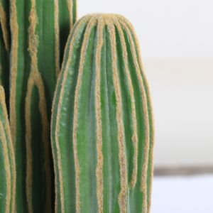 Cactus du désert, simulation d'intérieur, petits ornements de sol en plastique, faux arbres de sable pour la décoration de vitrine de centre commercial, paysage - Product Image 2