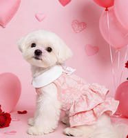 Gaun Kue Hewan Peliharaan Musim Semi Musim Panas, Rok Putri Renda Bunga 3D, Pakaian Spesial untuk Anjing dan Kucing Teddy Bichon