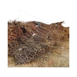 Palitos de madera de manzano para masticar para hámsters, conejos, conejillos de indias, chinchillas y ardillas en bolsas resellables de 100g, 200g, 300g, 500g - Product Image 3