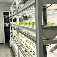 Ferme en conteneur maritime 40HQ entièrement automatisée, système d'agriculture verticale clé en main pour la production commerciale de légumes