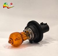 Ampoule de remplacement universelle HPC24W 12V pour phare halogène, vente en gros d'usine, accessoires automobiles
