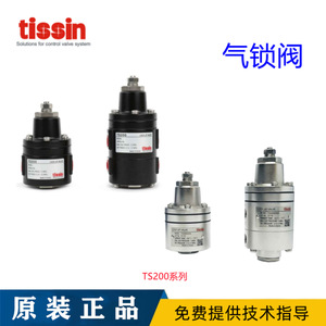 Válvula de Retención de Aire TS200 Coreana Tessen, Válvula de Cierre TS200SNS con Control Eléctrico y Estructura Angular para Alta Presión de Gas, TS200DNS, TS205, TS210, TS215 - Product Image 5