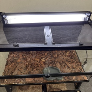 COLLESUN SPK-<span class=keywords><strong>UVB</strong></span> Kit di Illuminazione per Rettili con Lampada Fluorescente <span class=keywords><strong>UVB</strong></span> 8W/24W, Rettangolare, Ecologica, Ultra Sottile in Alluminio - Product Image 4