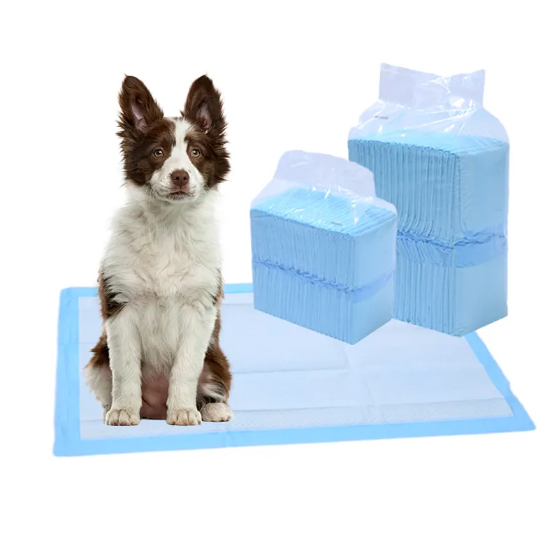 Limited Time hot Sale Disposable Leak Proof Quick-Drying Pet Pee Pads for Pet Shop