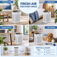 Purificateur d'air avec filtre HEPA H13, charbon actif, aromathérapie, design électrique portable, construction en plastique, fonctionnement silencieux, 300 m³/h