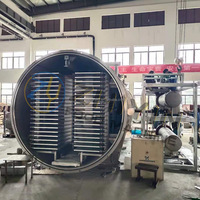 Industriële voedselvacuümvriesdroogmachine van roestvrij staal, capaciteit 30-200 kg, automatische groente- en fruitdroogapparatuur