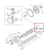 8-94394342-4 Engrenage de vilebrequin de pièces de moteur ISUZU du vilebrequin 8943943424 pour Isuzu 4HK1 NPR