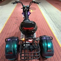 Scooter électrique à trois roues à pneus larges 60V 4000W, deux places, carrosserie ouverte avec coffre arrière et porte-bagages