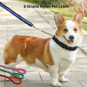 Futurepets Groothandel Huisdierenproducten Gepersonaliseerd Kleurrijk Gevlochten Effen Patroon Kleine Huisdier Training Hondenriem En Tractieketting - Product Image 5
