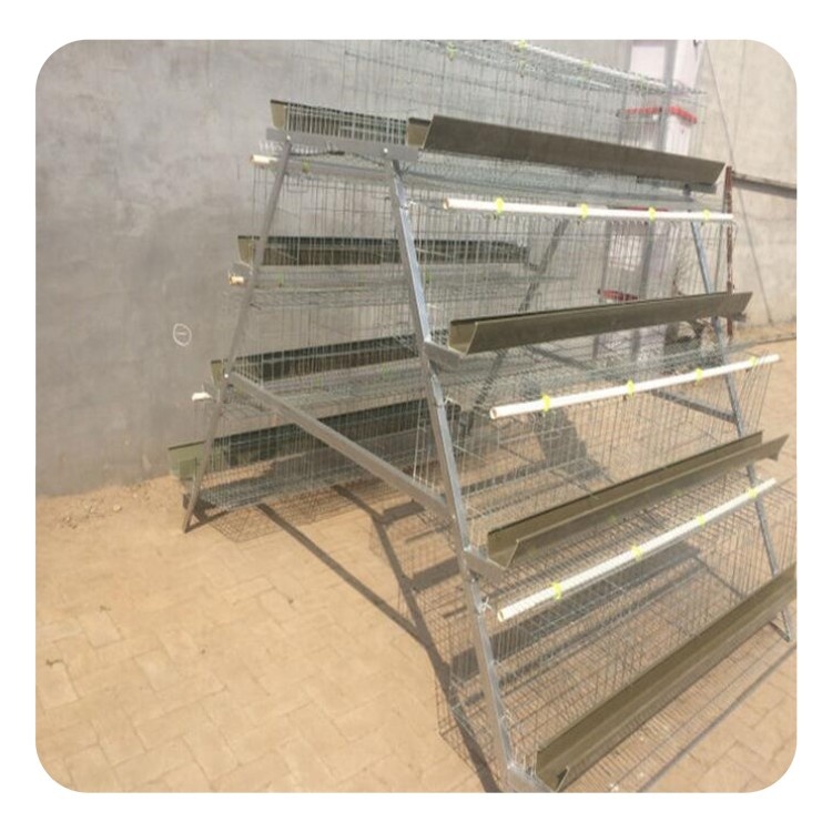 Заводская оцинкованная клетка для кур с 4 ярусами 120 вместимости клетка для кур Коммерческая клетка для куриного дома клетка для птицефабрики