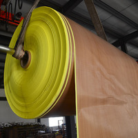 [En gros] Bande adhésive en tissu de fibre de verre PTFE pour machine de scellage, ruban Téflon résistant aux hautes températures et antistatique