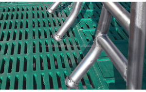 Equipo de Cría de Cerdos con Suelo de Láminas de Plástico <span class=keywords><strong>BMC</strong></span>, Jaulas para Cerdas, Jaulas de Parto, Jaulas de Cría/Amamantamiento para Granjas Porcinas - Product Image 6