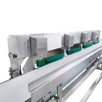 Hoogwaardige automatische weeg- en sorteermachine voor fruit en groenten, 304 roestvrij staal, nauwkeurigheid 0,3g, 1000g