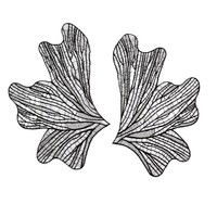 Dentelle soluble à l'eau pour broderie de cils, motif pois, fleur creuse, style chinois, pour bricolage et mariage