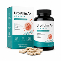 Urolithin A Haute Puissance 500mg en Capsules Testé par un tiers pour l'Énergie Cellulaire et le Soutien de la Santé Musculaire OEM Marque Privée