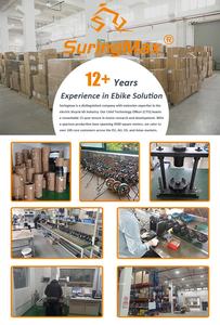 UE stock vélo électrique pliant 1000 watts elektrische stadsfiets adulte fatbike 20 pouces ebike 1000 w 48v e-bike - Product Image 6