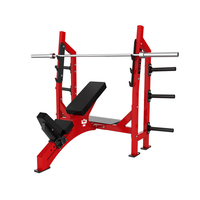 Banc de musculation inclinable professionnel en acier de haute qualité pour la musculation des bras et de la poitrine, machine de fitness personnalisable