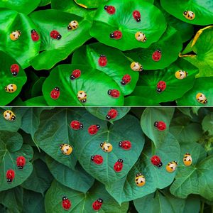 Mini 100 Uds autoadhesivo 9x13mm parte posterior plana <span class=keywords><strong>madera</strong></span> abejas mariquitas pegatinas para DIY micropaisaje Scrapbooking tarjeta cartel <span class=keywords><strong>de</strong></span> pared <span class=keywords><strong>madera</strong></span> - Product Image 3