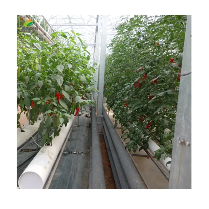 Вертикальная фермерская трубчатая гидропонная система выращивания в помещении, оснащенная системой Nft, теплица с гидропонной системой для сельского хозяйства