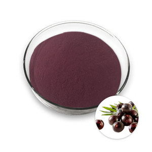 Açaí Berry Extract Powder Fornecedores China Recipiente De Plástico De Tambor Embalado A Vácuo - Product Image 3