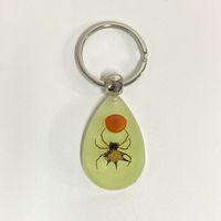 Nouveau porte-clés insecte ambre lumineux pendentif véritable insecte résine porte-clés spécimen insecte pendentif porte-clés
