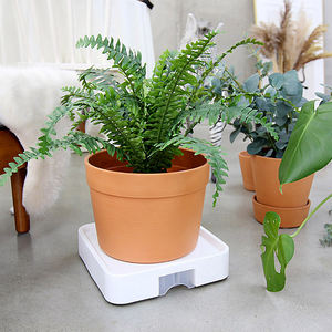 Soporte Redondo para Macetas de Estilo Coreano Moderno, N.° 3, con Ruedas Ocultas, Bandeja de Drenaje, Base Resistente de PP Blanco y Acero para Interiores - Product Image 6