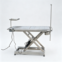 Table d'opération vétérinaire électrique chauffante robuste avec hauteur réglable pour animaux de compagnie
