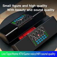 SY168 Professionelle Live-Soundkarte All-in-One Karaoke-Maschine mit Zwei Kabellosen Mikrofonen, Geräuschunterdrückung und Mehrfacheffekten für Zuhause