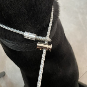 P Chain <b>Dog</b> <b>Leash</b> Steel Wire Core Metal Buckle One Piece Explosion Proof Design For Teddy Golden Retriever - Product Image 2