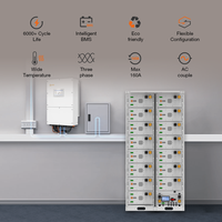Système de stockage d'énergie tout-en-un 50 kW 100 kWh pour C&I, onduleur hybride triphasé, batterie lithium haute tension pour système photovoltaïque industriel