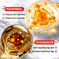 SADOER ODM Factory Direct Christmas Mint Vitamin E Nourishing Lip Gloss 10ml pour tous types de peaux