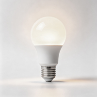 Ampoule LED WOOJONG A19 120V 5W 40WE E26 DIM Certifiée Energy Star pour le marché nord-américain