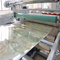 Ligne de Production de feuille de marbre de panneau de pierre de marbre artificiel de PVC de haute qualité