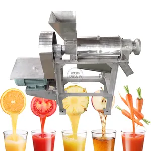 Endüstriyel vidalı portakal suyu ekstraktör makinesi ticari meyve sebze yapma sıkma makinesi