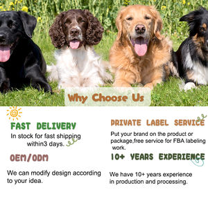 Kerah pendingin hewan peliharaan yang dapat diatur syal es Bandana untuk anjing dan kucing musim panas penghilang panas Aktivitas Luar Ruangan - Product Image 4