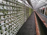 Système de culture hydroponique d'intérieur avec canaux NFT verticaux en PVC de qualité alimentaire à vendre