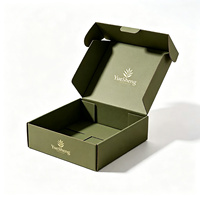 Boîte d'expédition en carton ondulé kraft teinté vert sauge en forme d'avion, avec fermeture à rabat, pour boutique de marque Eco Chic